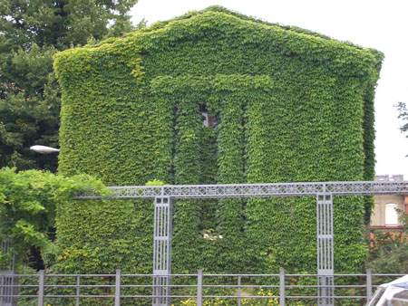 Zugewachsenes Haus 2